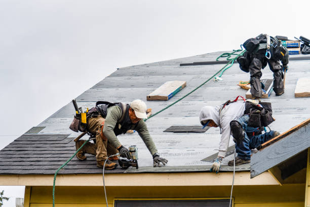 Professional Storm Damage Roof Repair technician working in Laporte, CO